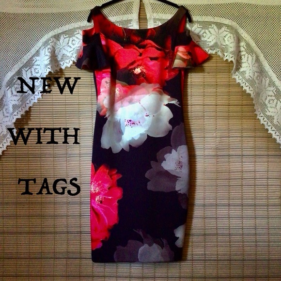 Frank Lyman NWT water color floral print, lovely dress - Picture 6 of 16